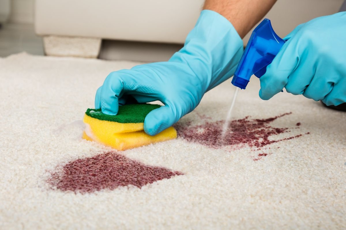 A person wearing blue gloves cleans a carpet with a sponge, demonstrating the effectiveness of water in cleaning. 
